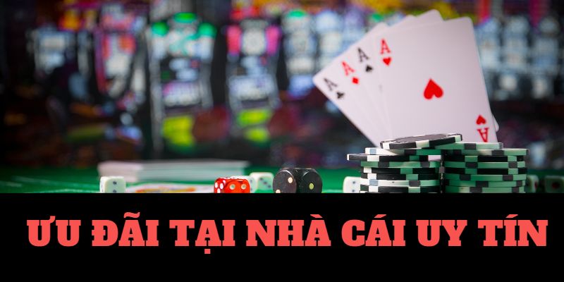 Tỷ Lệ Kèo Bóng Đá Trực Tiếp Uy Tín Nhất Tỷ Lệ Kèo Bóng Đá Trực Tiếp Uy Tín Nhất